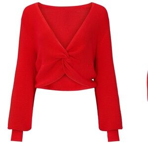 Finders keepers red sweater